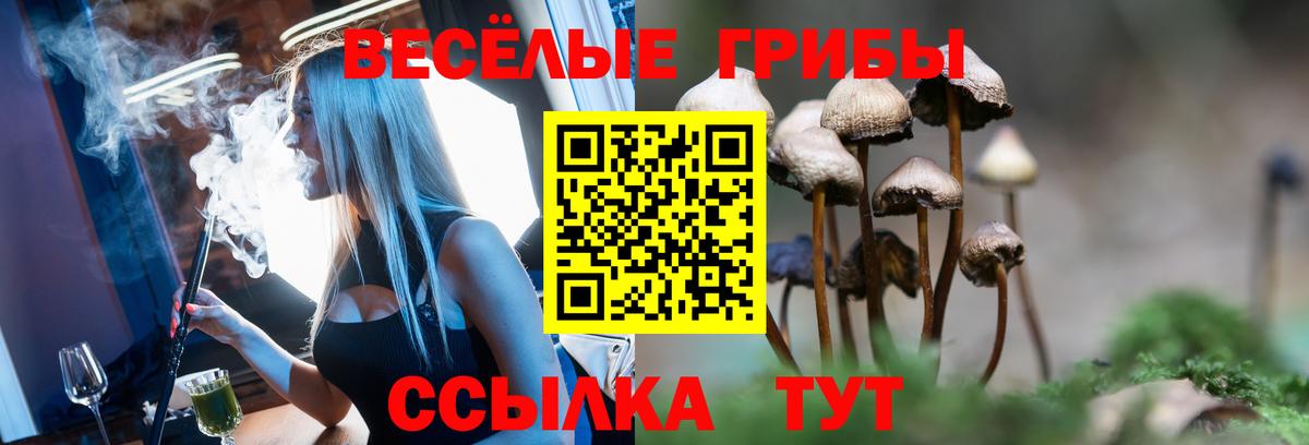 Галлюциногенные грибы GOLDEN TEACHER Ногинск